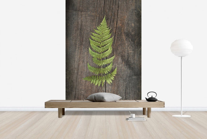 PHOTOWALL / Woodland Fern II (e25892)