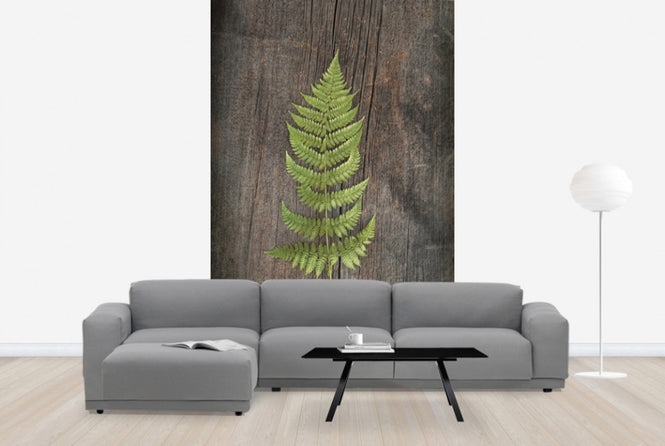 PHOTOWALL / Woodland Fern II (e25892)