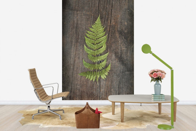 PHOTOWALL / Woodland Fern II (e25892)