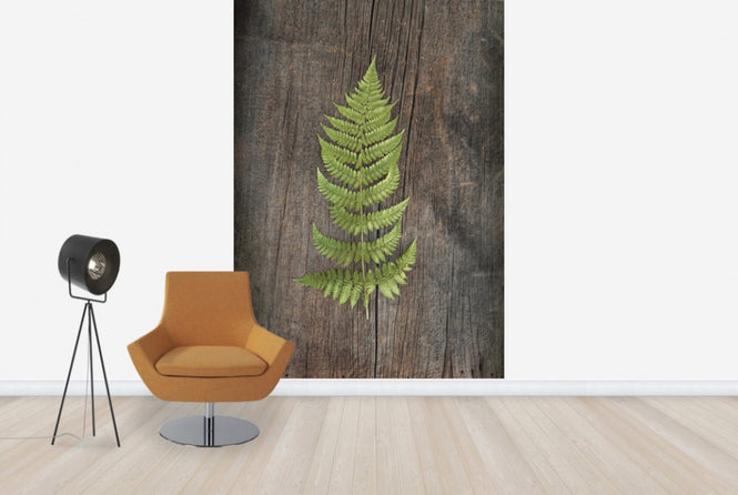 PHOTOWALL / Woodland Fern II (e25892)