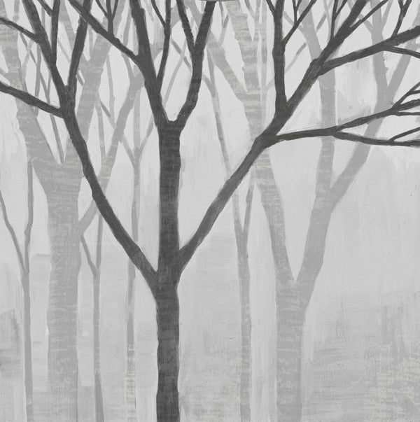 PHOTOWALL / Spring Trees Greystone II (e25899)