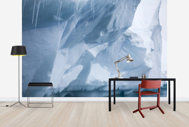 PHOTOWALL / Icicle in Antarctica (e29981)