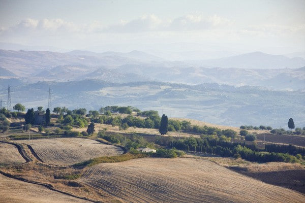 PHOTOWALL / Fields of Sicily, Italy (e29988)