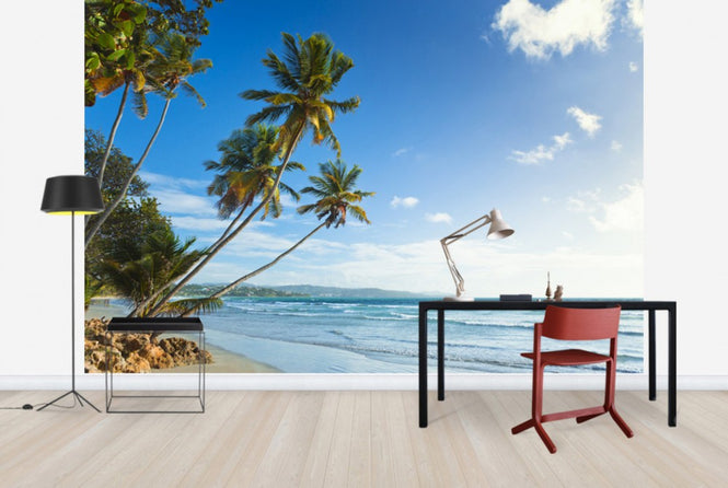 PHOTOWALL / Palms and Beach, Trinidad and Tobago (e29993)