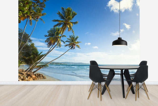 PHOTOWALL / Palms and Beach, Trinidad and Tobago (e29993)