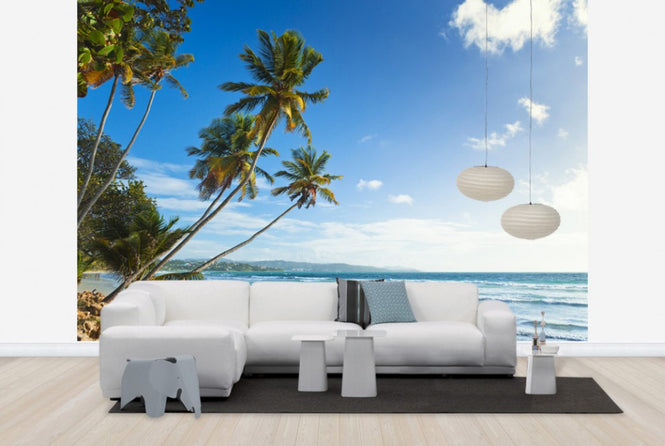 PHOTOWALL / Palms and Beach, Trinidad and Tobago (e29993)
