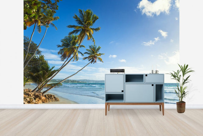 PHOTOWALL / Palms and Beach, Trinidad and Tobago (e29993)