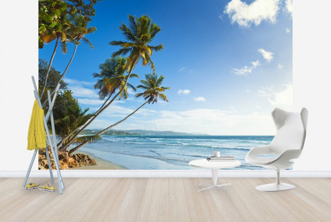 PHOTOWALL / Palms and Beach, Trinidad and Tobago (e29993)