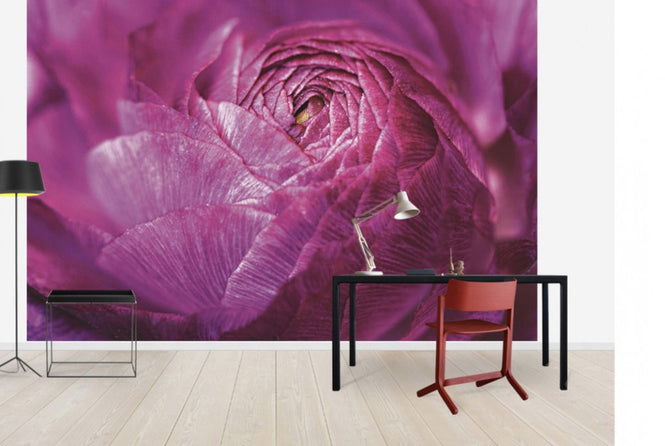 PHOTOWALL / Ranunculus Abstract (e30149)