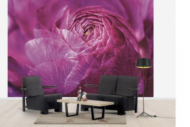 PHOTOWALL / Ranunculus Abstract (e30149)