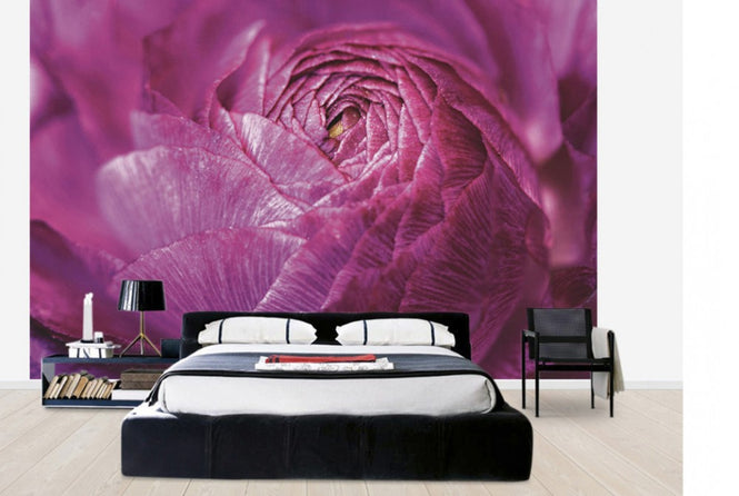 PHOTOWALL / Ranunculus Abstract (e30149)