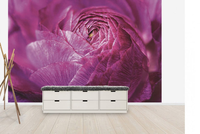 PHOTOWALL / Ranunculus Abstract (e30149)
