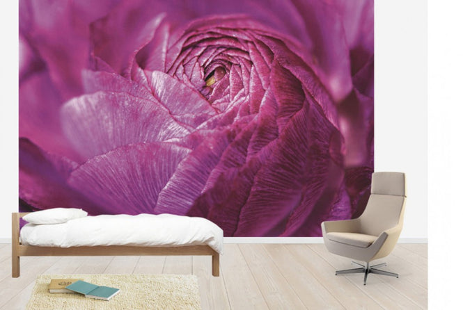 PHOTOWALL / Ranunculus Abstract (e30149)