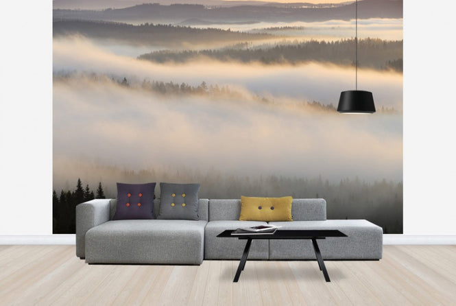 PHOTOWALL / Fog in Bergslagen, Sweden (e40440)