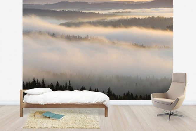 PHOTOWALL / Fog in Bergslagen, Sweden (e40440)