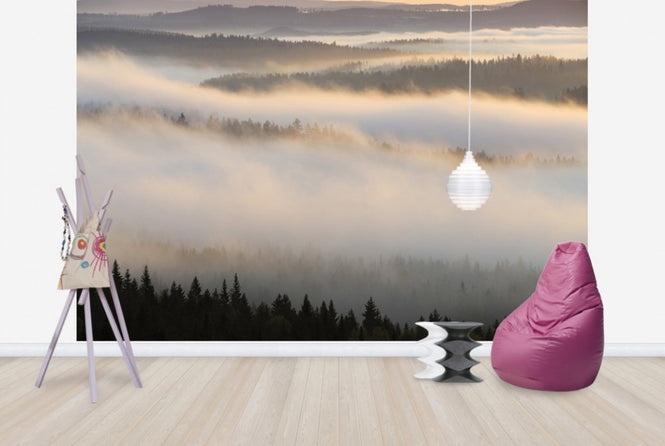 PHOTOWALL / Fog in Bergslagen, Sweden (e40440)