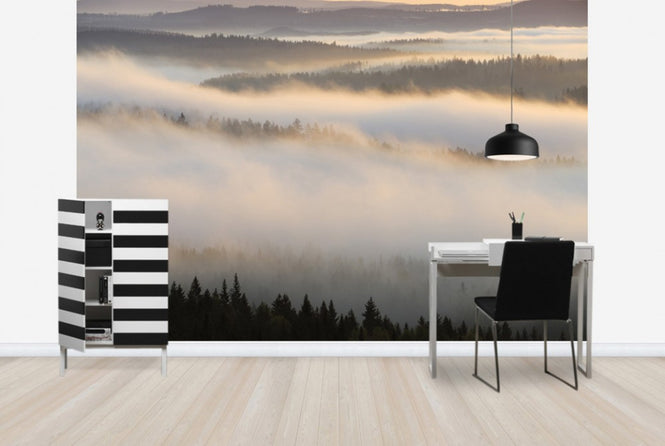 PHOTOWALL / Fog in Bergslagen, Sweden (e40440)