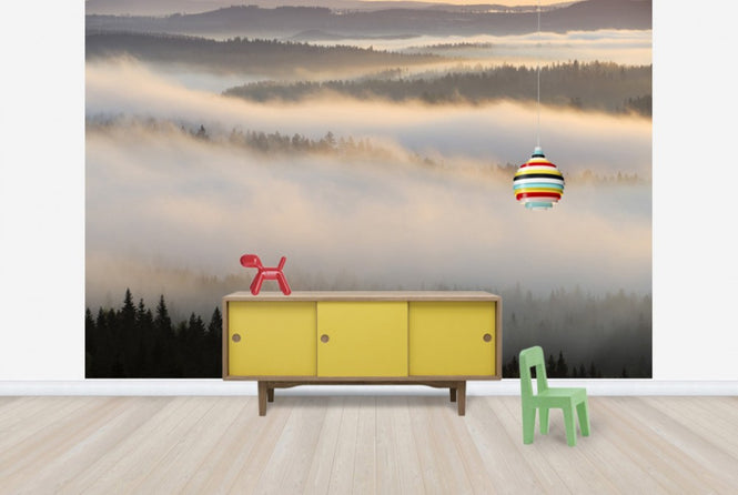 PHOTOWALL / Fog in Bergslagen, Sweden (e40440)