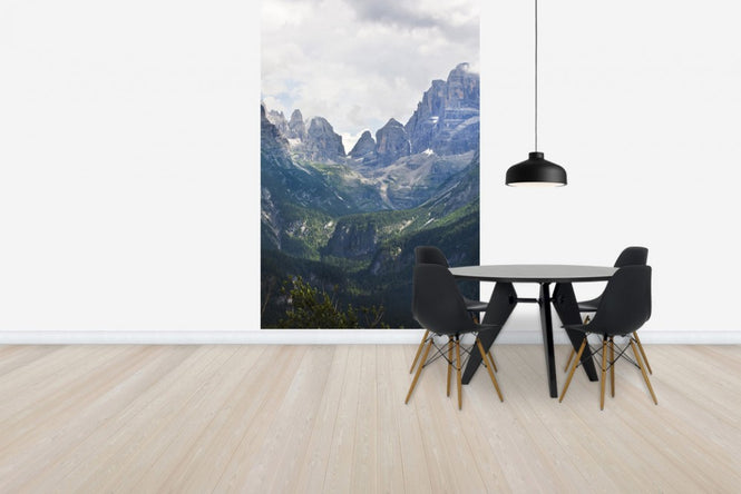 PHOTOWALL / Madonna di Campiglio, Italy (e40446)