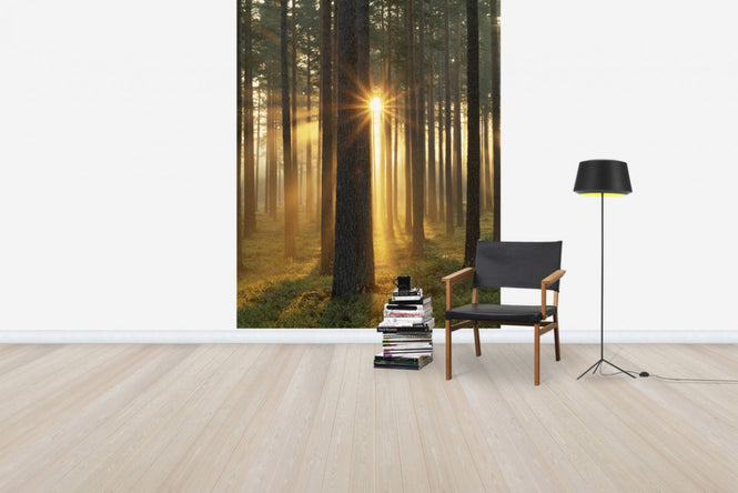 PHOTOWALL / Autumn Sunbeam (e40448)