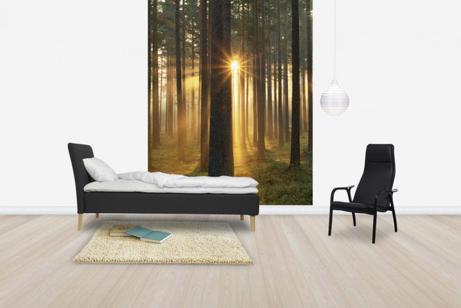 PHOTOWALL / Autumn Sunbeam (e40448)