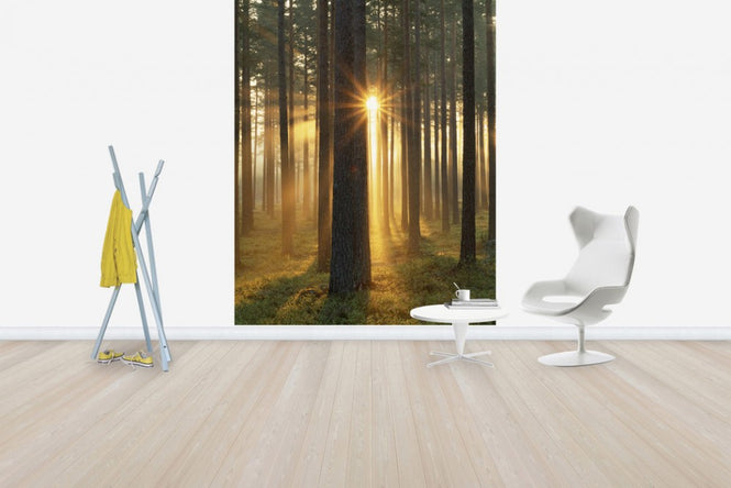 PHOTOWALL / Autumn Sunbeam (e40448)