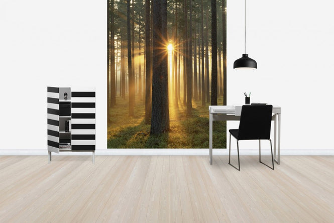 PHOTOWALL / Autumn Sunbeam (e40448)