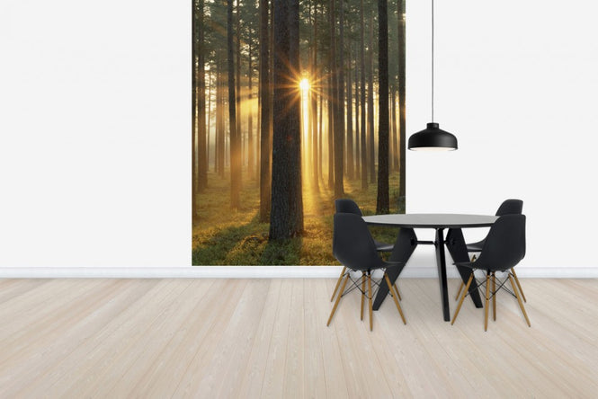 PHOTOWALL / Autumn Sunbeam (e40448)