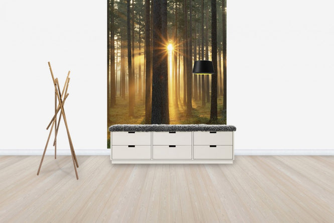 PHOTOWALL / Autumn Sunbeam (e40448)