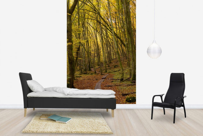 PHOTOWALL / Path through Beech Wood (e40485)