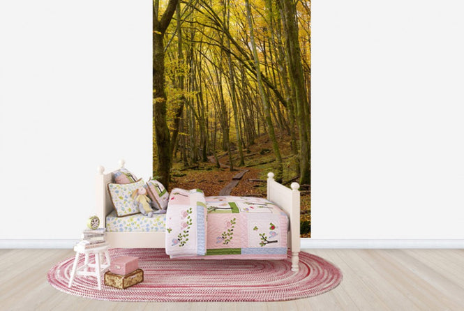 PHOTOWALL / Path through Beech Wood (e40485)