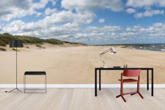 PHOTOWALL / Vejbystrand in Skane, Sweden (e40460)