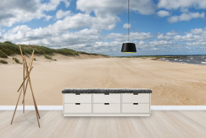 PHOTOWALL / Vejbystrand in Skane, Sweden (e40460)