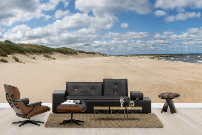 PHOTOWALL / Vejbystrand in Skane, Sweden (e40460)