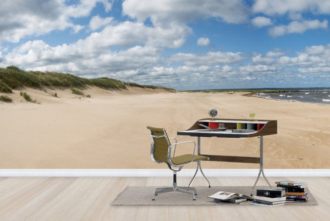 PHOTOWALL / Vejbystrand in Skane, Sweden (e40460)