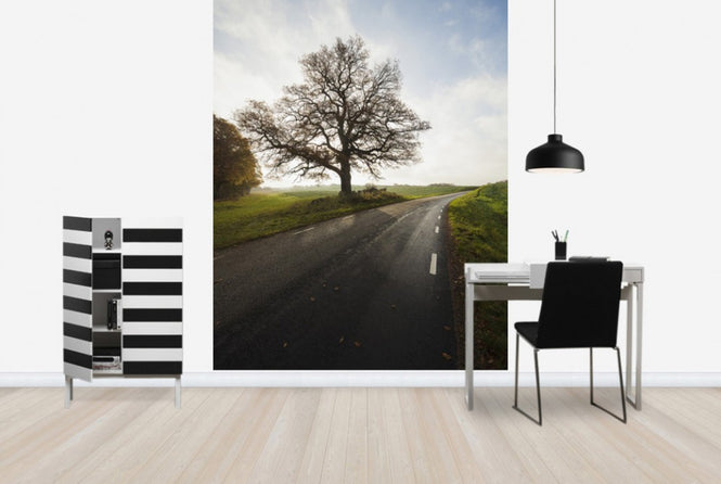 PHOTOWALL / Majestic Tree by Road (e40486)