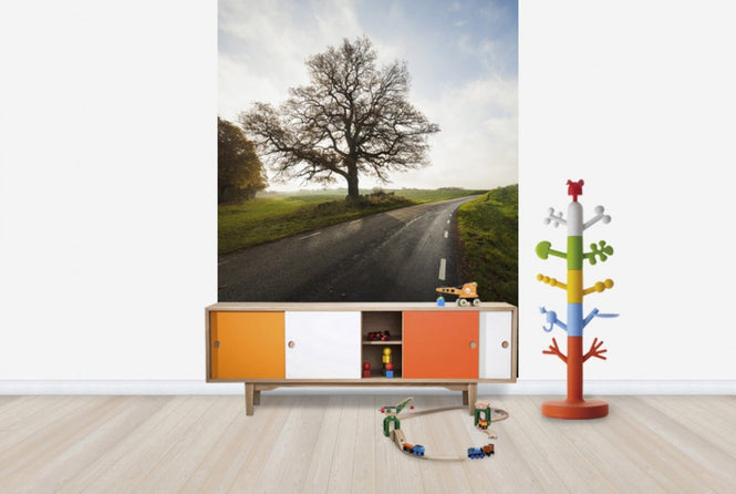 PHOTOWALL / Majestic Tree by Road (e40486)