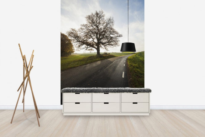 PHOTOWALL / Majestic Tree by Road (e40486)
