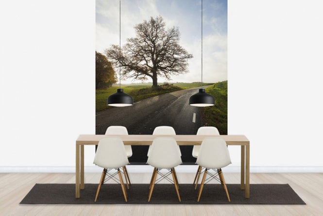 PHOTOWALL / Majestic Tree by Road (e40486)