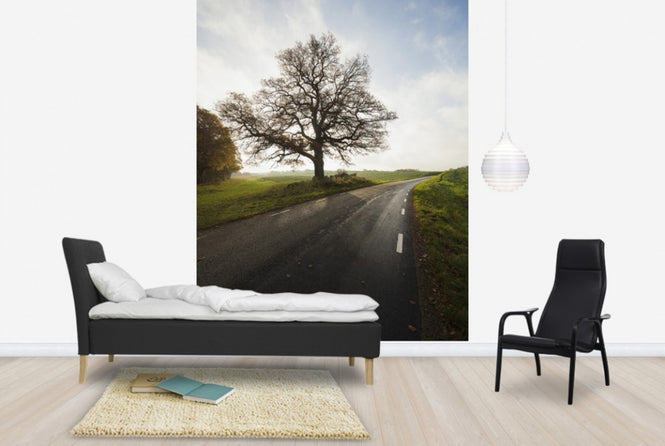 PHOTOWALL / Majestic Tree by Road (e40486)