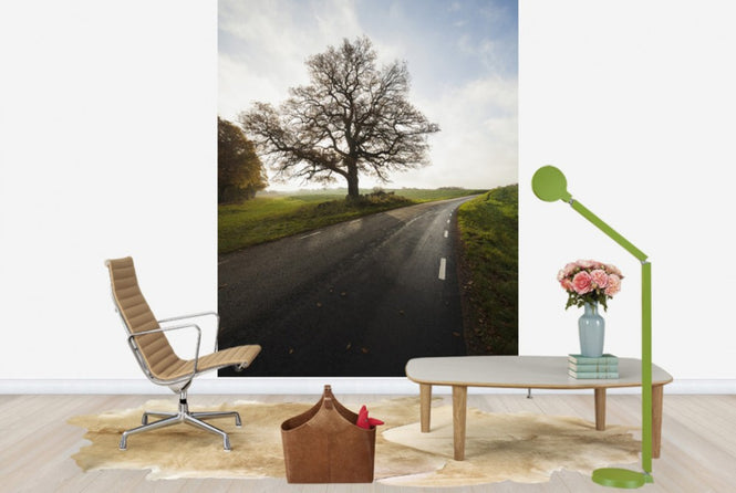 PHOTOWALL / Majestic Tree by Road (e40486)