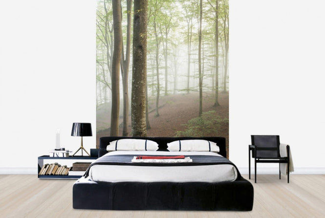 PHOTOWALL / Swedish Beech Forest I (e40487)