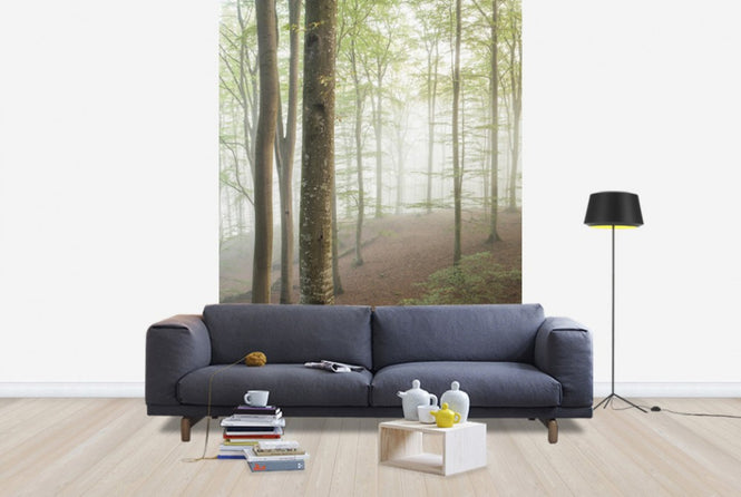 PHOTOWALL / Swedish Beech Forest I (e40487)