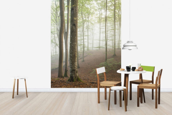 PHOTOWALL / Swedish Beech Forest I (e40487)