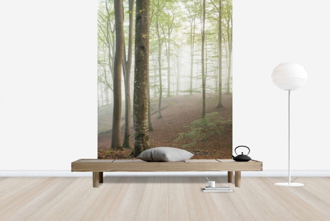 PHOTOWALL / Swedish Beech Forest I (e40487)