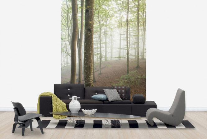 PHOTOWALL / Swedish Beech Forest I (e40487)