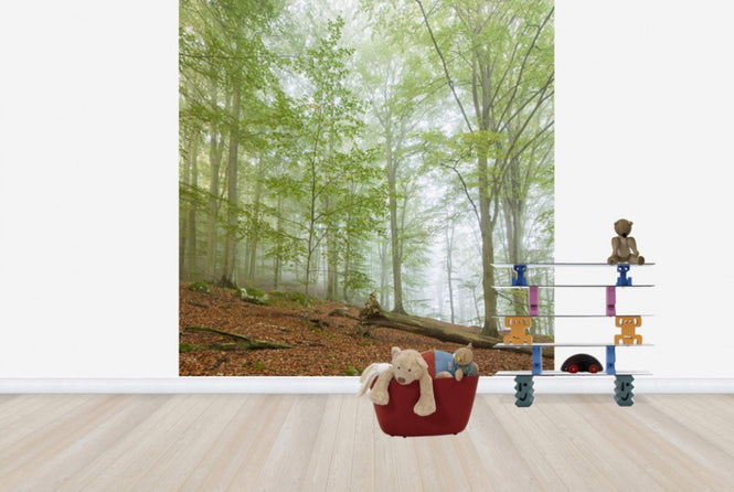 PHOTOWALL / Swedish Beech Forest III (e40489)