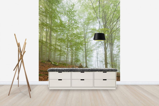 PHOTOWALL / Swedish Beech Forest III (e40489)