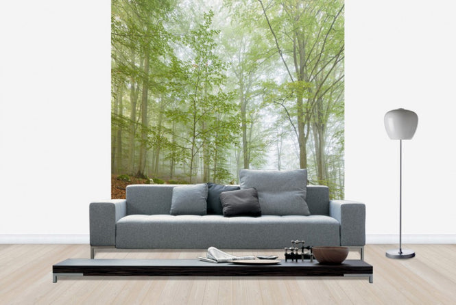 PHOTOWALL / Swedish Beech Forest III (e40489)