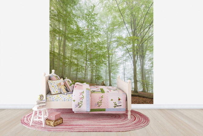 PHOTOWALL / Swedish Beech Forest III (e40489)